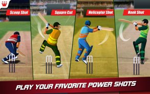 World T20 Cricket Champs 2016 screenshot 4