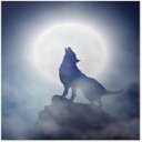 Wolf Sound Howling Icon