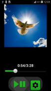 Litany of the Holy Spirit screenshot 7