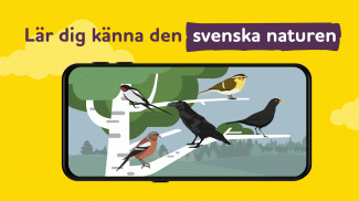 ALPA kunskapsspel på svenska screenshot 5
