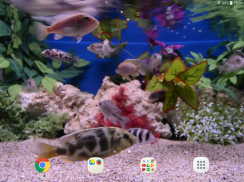 Aquarium Video Wallpaper screenshot 9