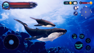 The Humpback Whales screenshot 2