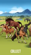 Howrse - Horse Breeding Game screenshot 13