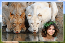 Wild Animals Photo Frames screenshot 4