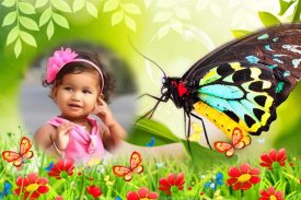 Butterfly Photo Frames screenshot 1