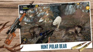 Animal Hunting Games Gun Games screenshot 11