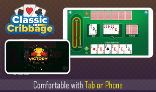 Cribbage classic - card games screenshot 3