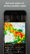 Weather Puppy: Real Time Weather Forecast & Radar screenshot 6