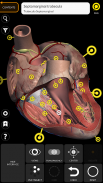 Anatomie - Atlas 3D screenshot 2