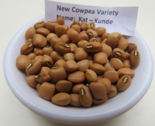 KALRO New Cowpea Varieties screenshot 2