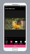 Smart Video Crop - Crop any part of any video screenshot 7