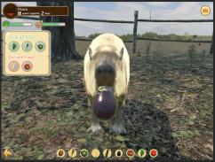 Capybara Zoo screenshot 0