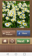 Jeux de Puzzle Nature screenshot 6
