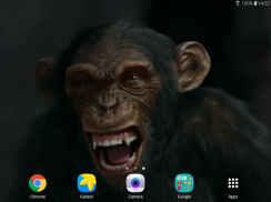 الحديث القرد لايف للجدران screenshot 8