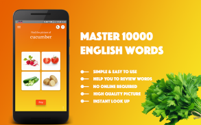 English Vocabulary Master screenshot 0