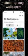 4K Wallpaper - only quality wallpapers! screenshot 0