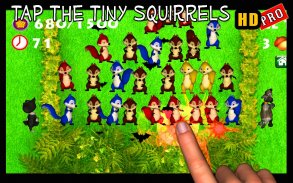Tap the Squirrel HD Pro screenshot 5