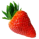 The  of growing strawberries Icon