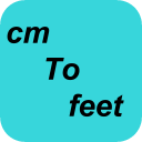 cm to feet converter