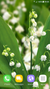 Lily of The Valley Wallpaper screenshot 6