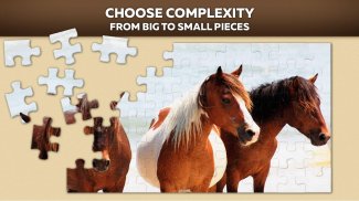 Puzzle de chevaux screenshot 2