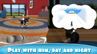 Daily Kitten : gato virtual screenshot 2