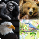 Guess the Animal Game‏