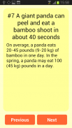 Amazing Panda Facts screenshot 1