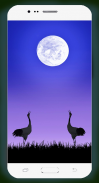 Moonlight Wallpaper 4K screenshot 1