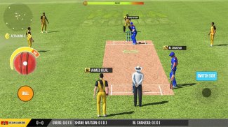 لعبة الكريكيت 2020: العب Live T10 Cricket screenshot 2