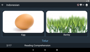 Indonesian Language Tests screenshot 4