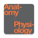 Anatomy & Physiology Textbook , MCQ & Test Bank