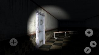 Asylum Insanity screenshot 2