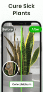 Plantiary: 植物識別子, 花、昆虫 screenshot 4