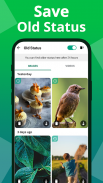 Status Saver Video Downloader screenshot 3