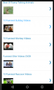 Funny Animals Videos screenshot 1