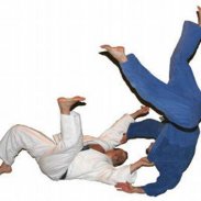 Judo techniques screenshot 0