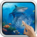 Interactive Shark Icon