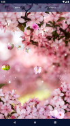 Cherry Blossom Live Wallpaper screenshot 3