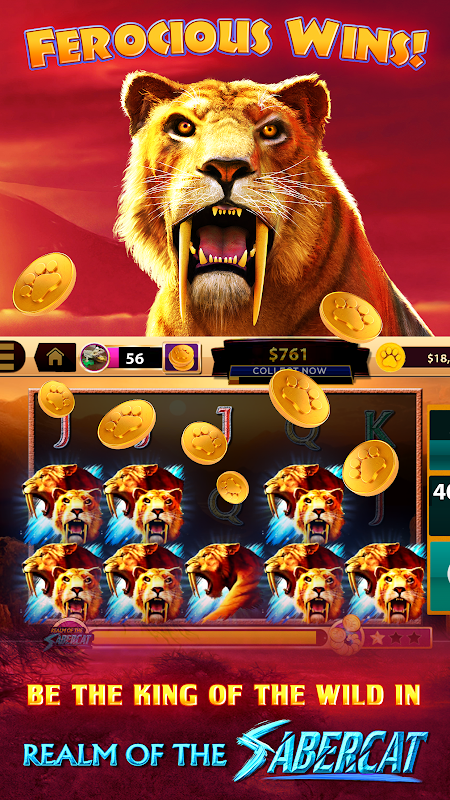 cats casino real hit slots