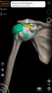 Anatomy 3D Atlas screenshot 12
