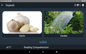 Gujarati Language Tests screenshot 12