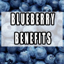 Blueberry Benefits