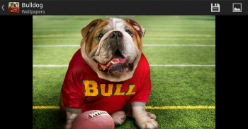 Bulldog - HD Wallpapers screenshot 7