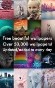 Indah Wallpapers 4K/HDR screenshot 14