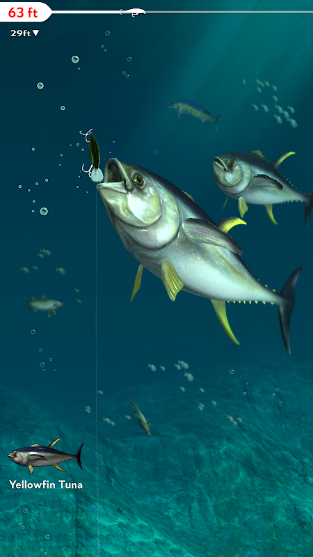 Fishing Game Rapala Daily Catch Launches on iOS, Android
