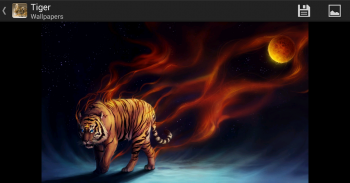 Tigers - HD Wallpapers screenshot 5