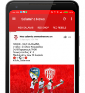 Salamina News screenshot 5