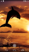 Dolphins 4K Live Wallpaper screenshot 1
