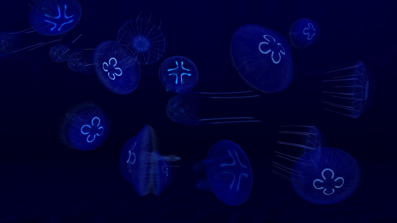 🔥 Download Fish Farm 3 - 3D Aquarium Simulator 1.6.7180 APK . Feed and grow  fish in the aquarium 